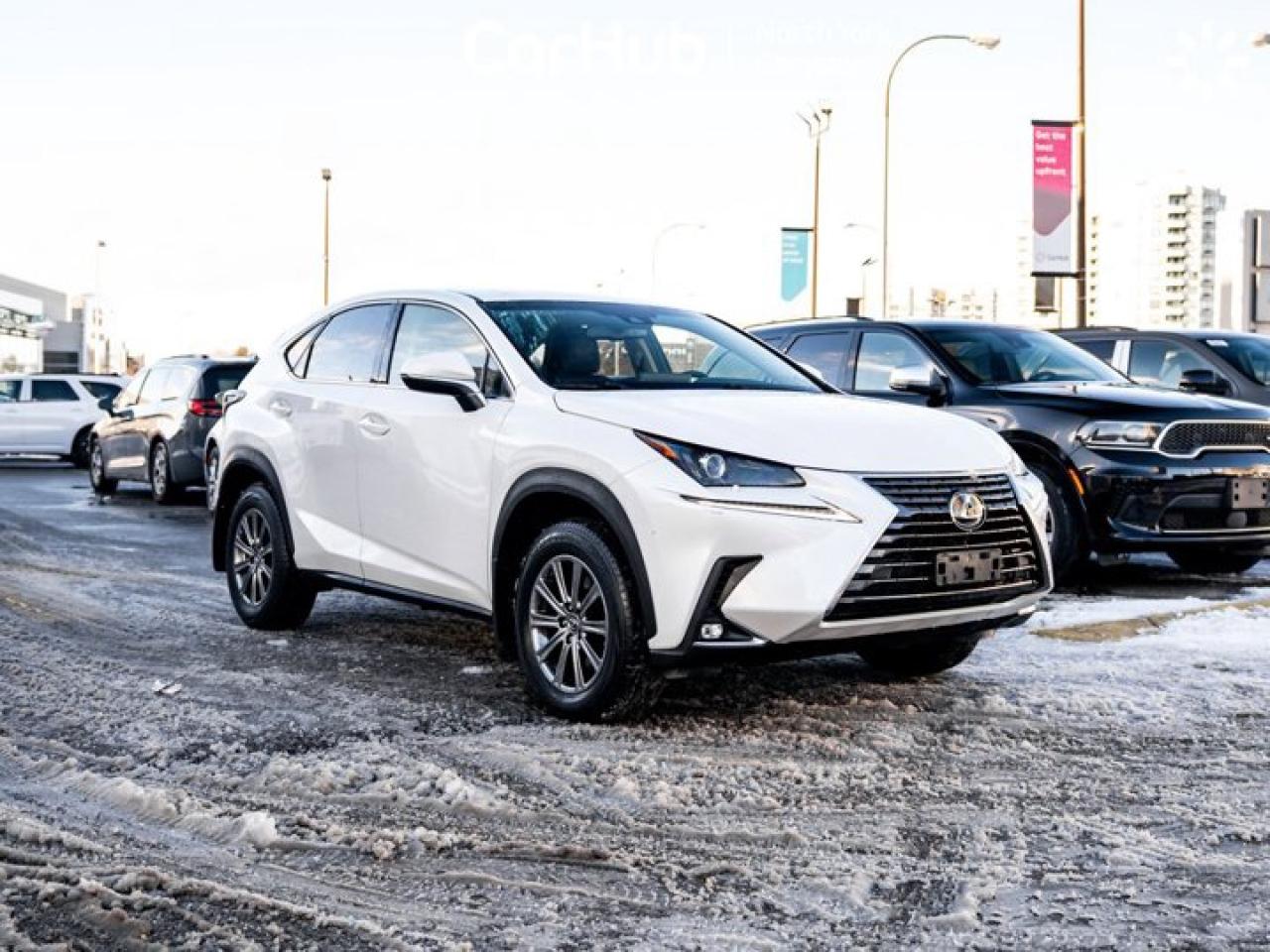 2019 Lexus NX NX 300 Photo