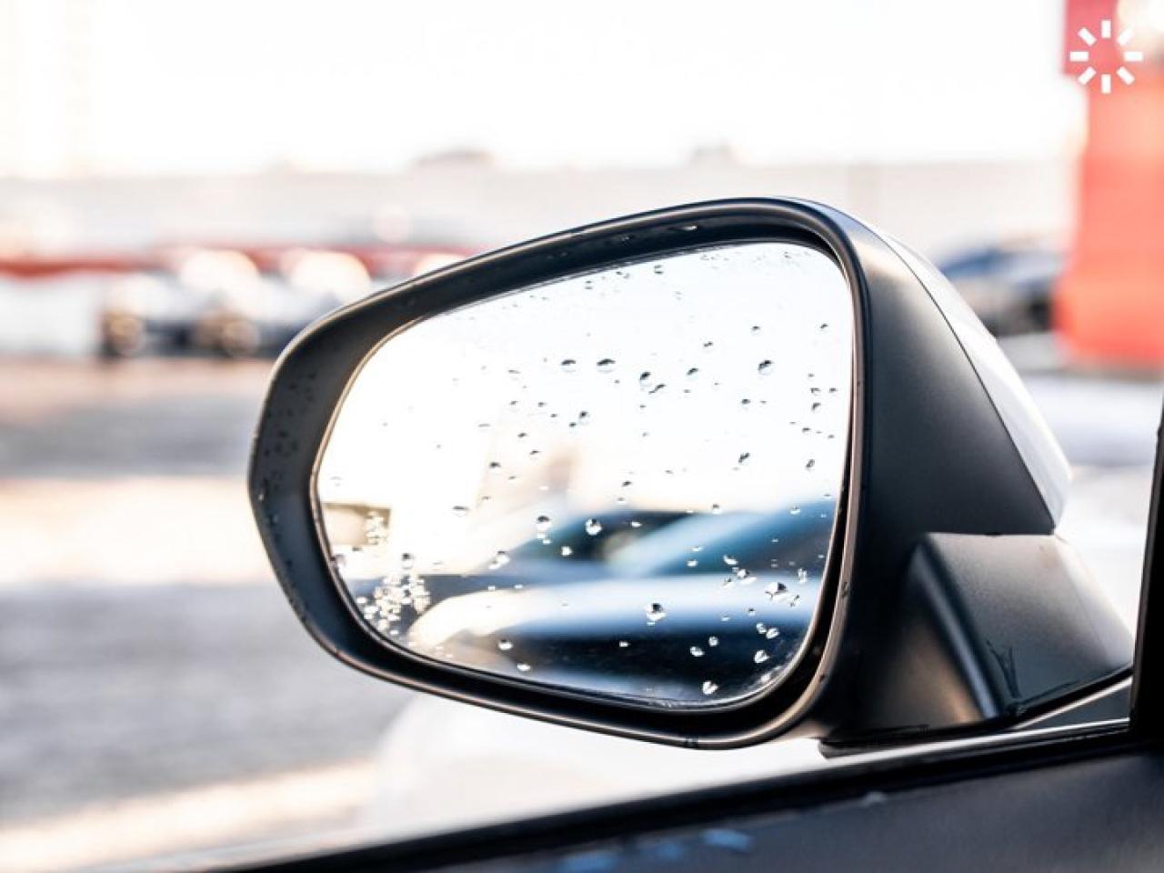 2019 Lexus NX NX 300 Photo