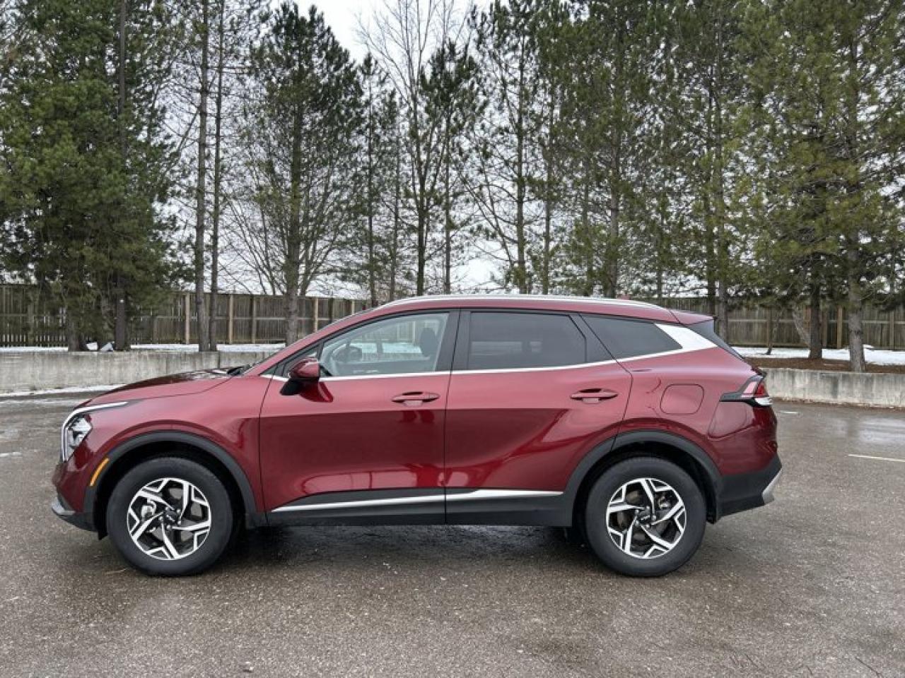 2024 Kia Sportage LX Photo