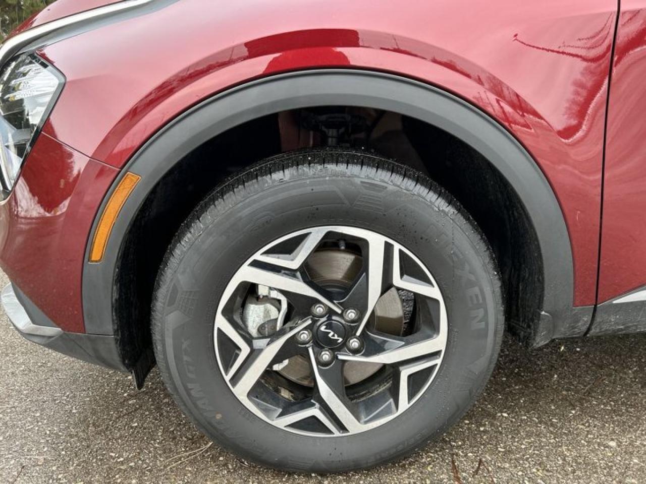 2024 Kia Sportage LX Photo