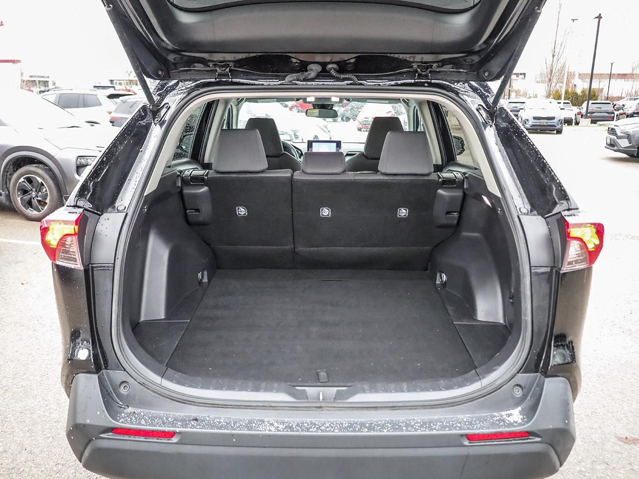 2024 Toyota RAV4 LE Photo