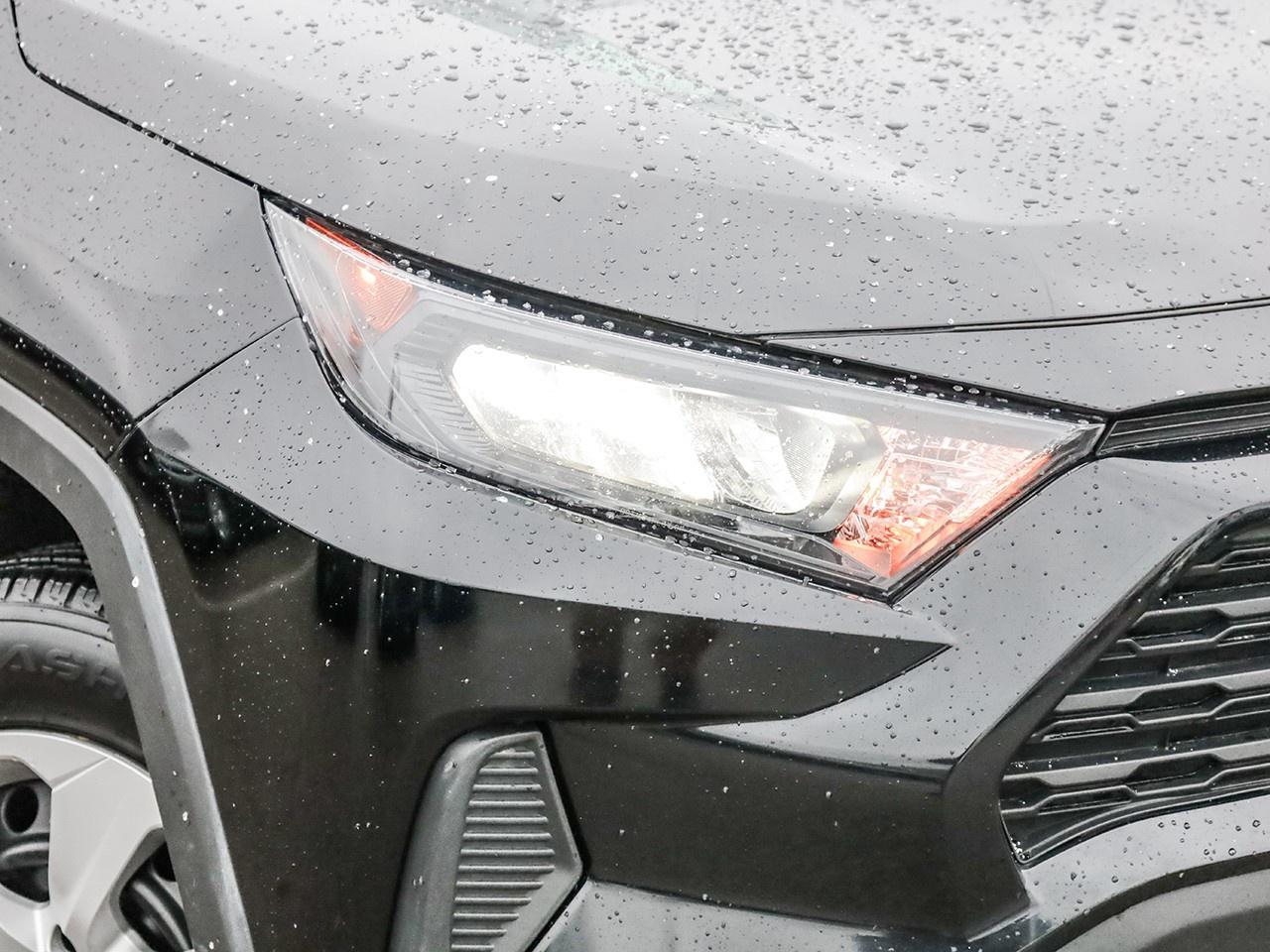 2024 Toyota RAV4 LE Photo