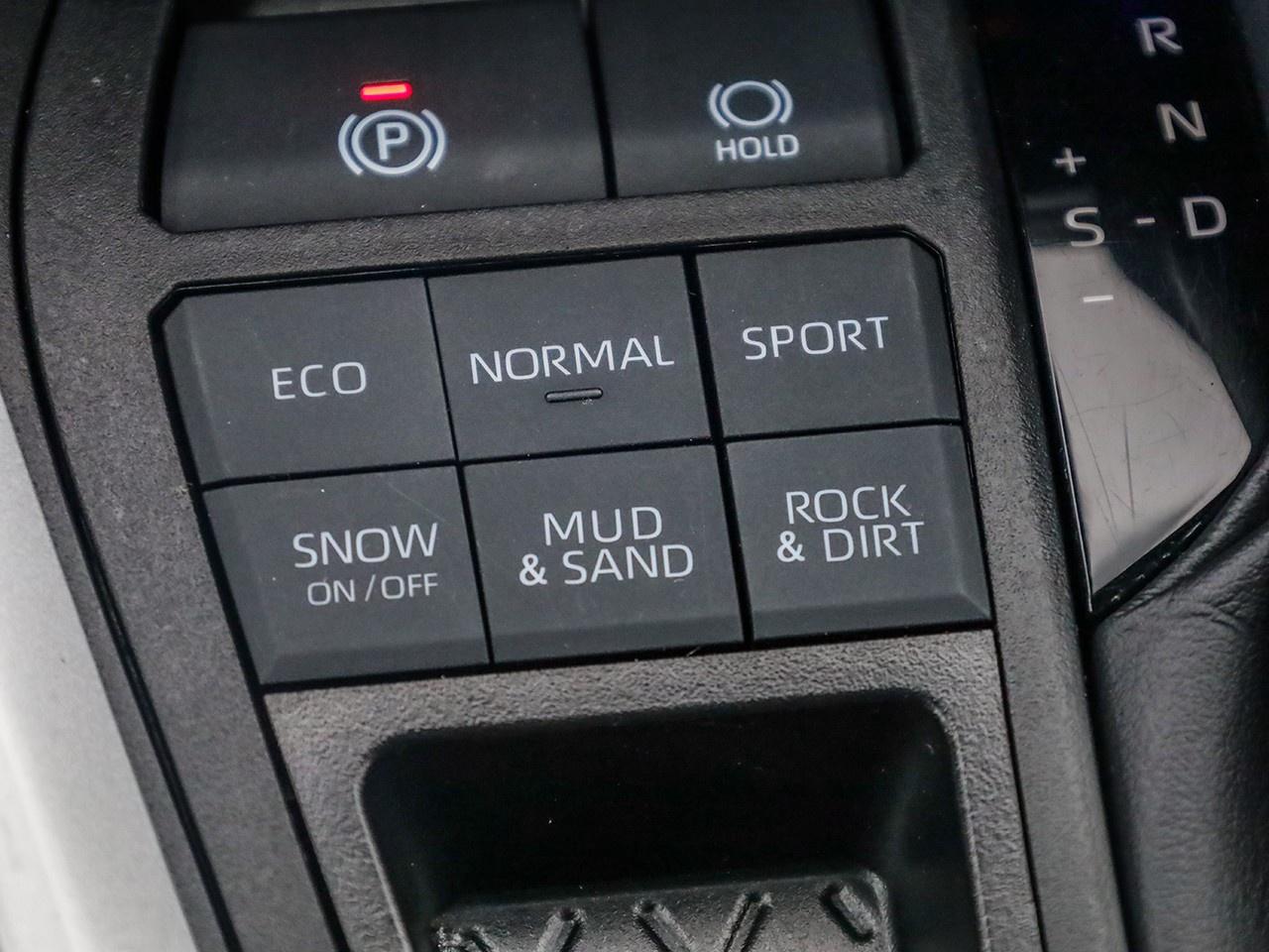 2024 Toyota RAV4 LE Photo