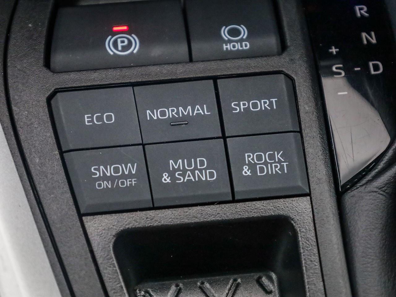 2024 Toyota RAV4 LE Photo