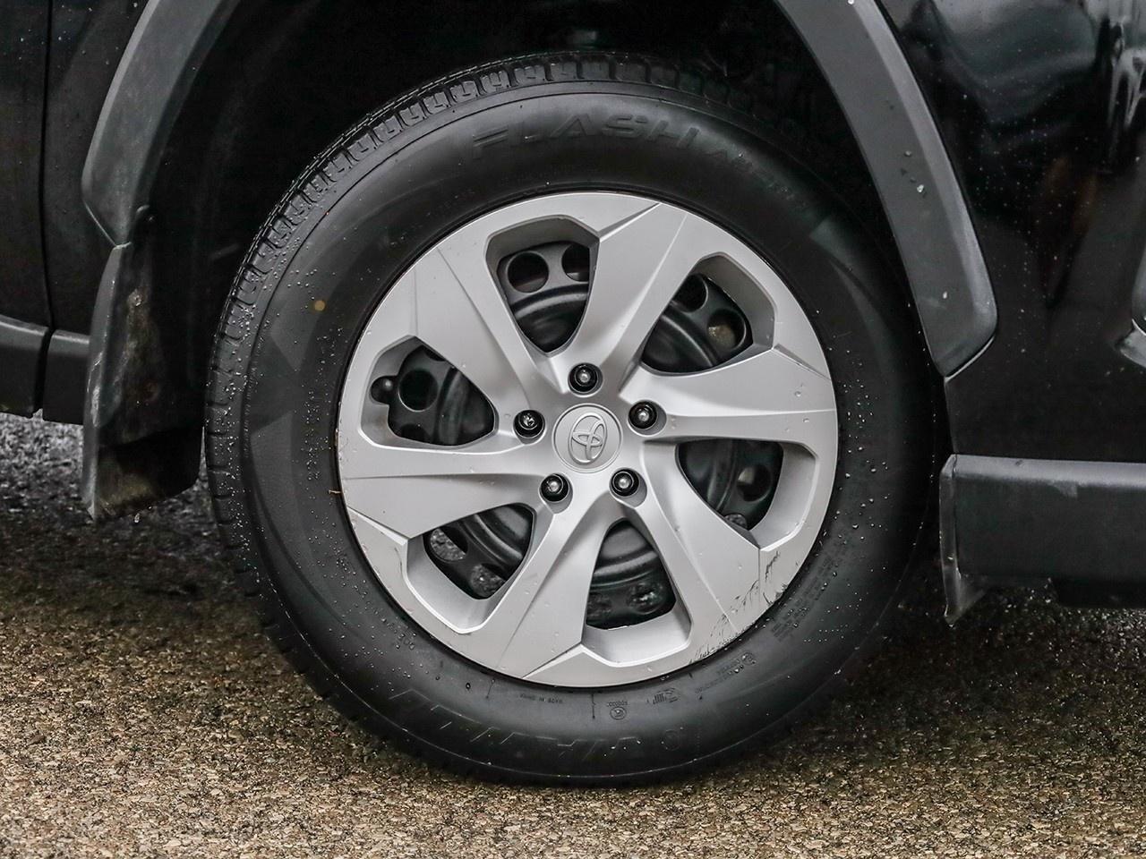 2024 Toyota RAV4 LE Photo