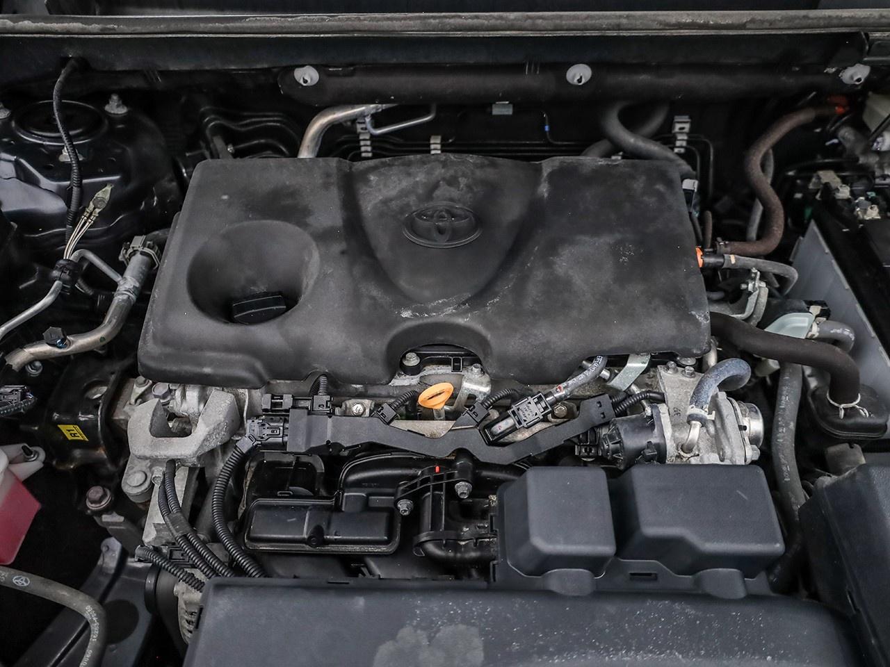 2024 Toyota RAV4 LE Photo