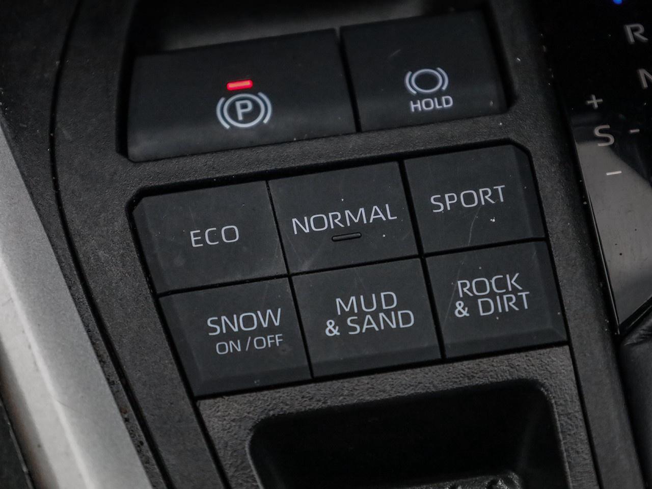 2024 Toyota RAV4 LE Photo