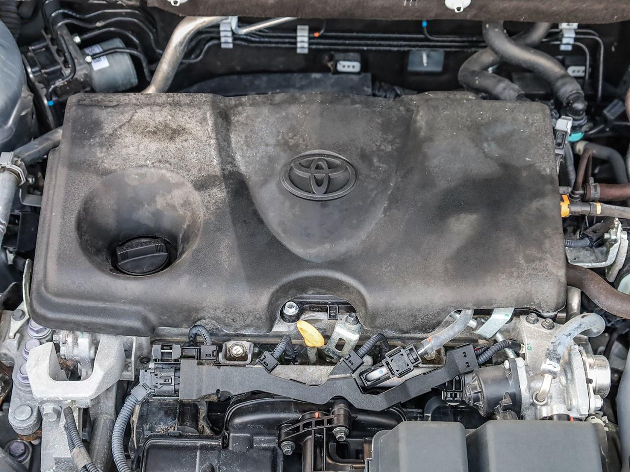 2024 Toyota RAV4 LE Photo