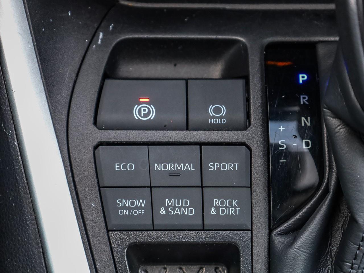 2024 Toyota RAV4 LE Photo