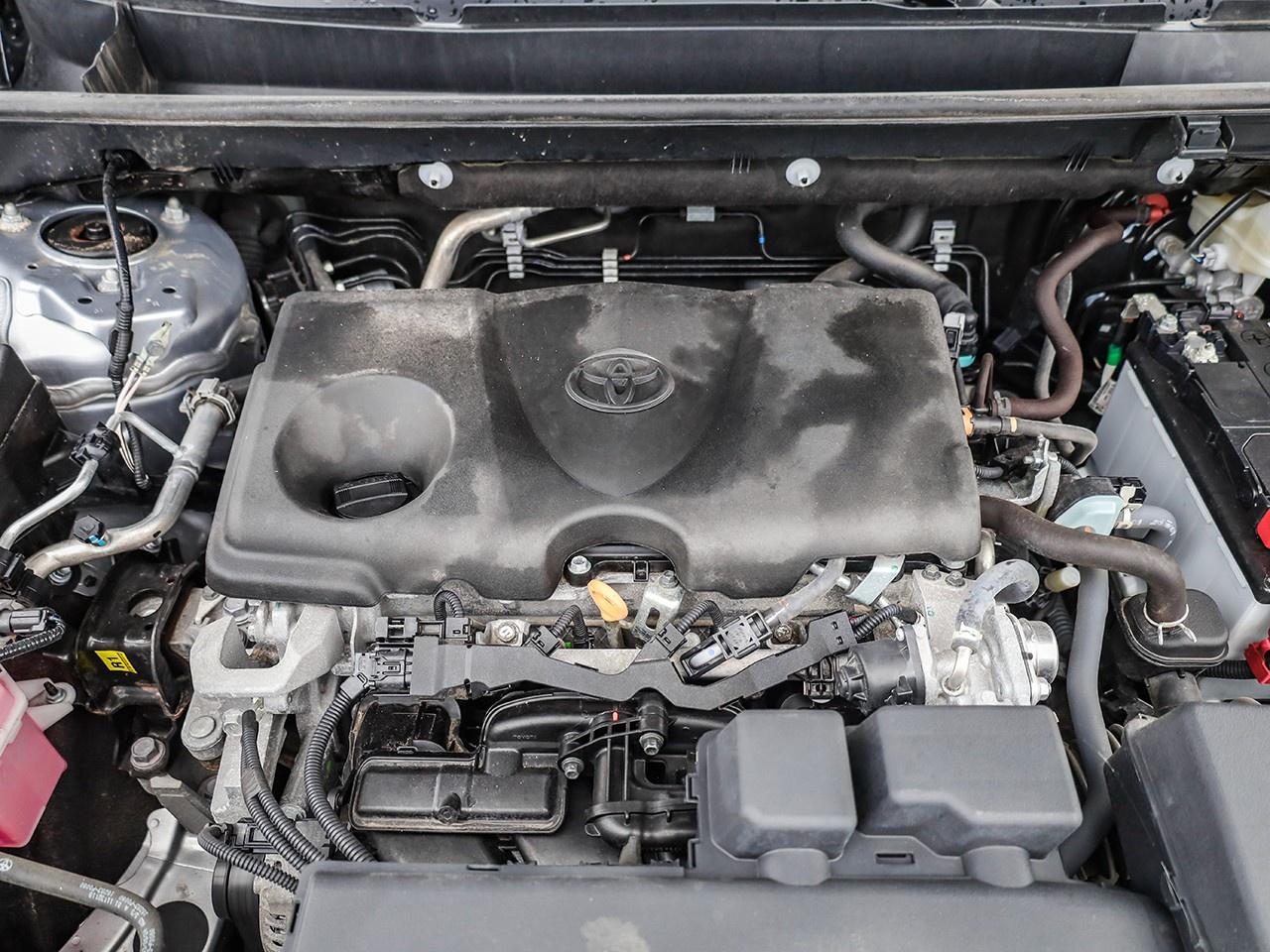 2024 Toyota RAV4 LE Photo