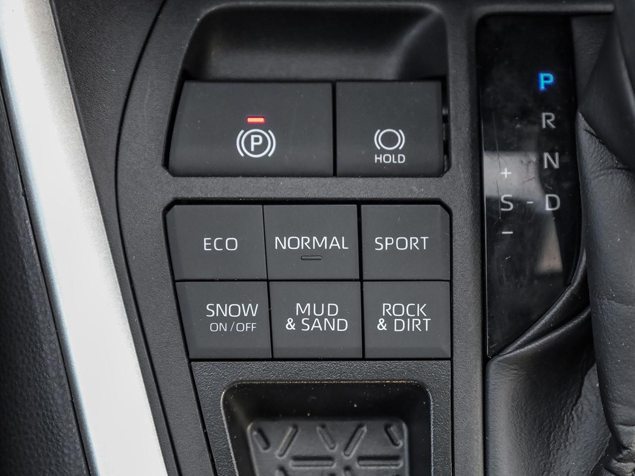 2025 Toyota RAV4 LE Photo