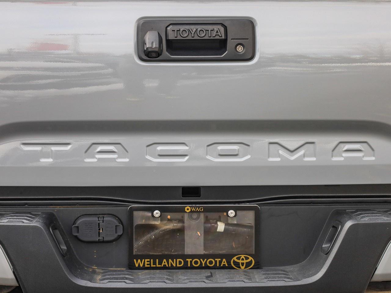 2020 Toyota Tacoma  Photo