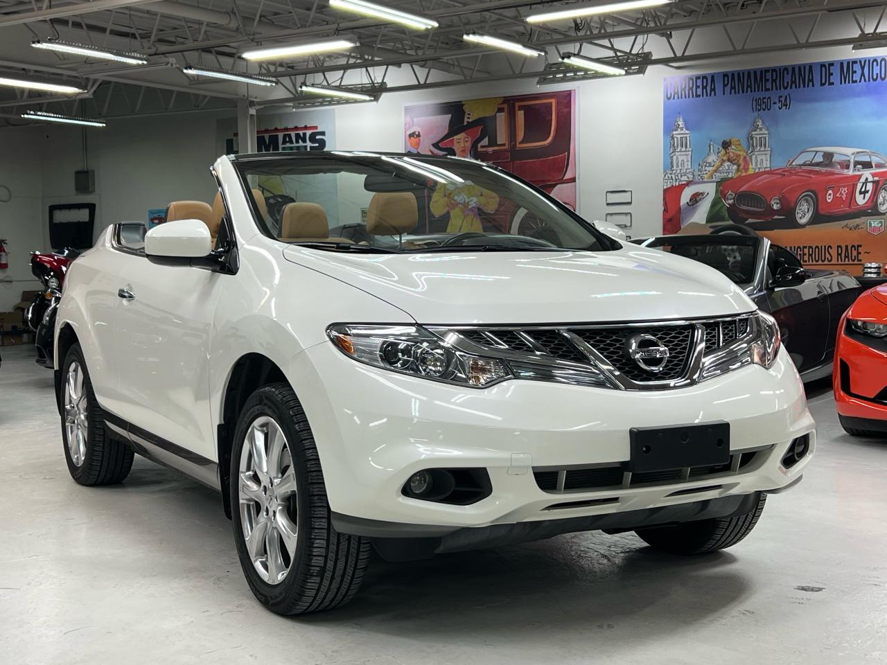 Used 2014 Nissan Murano CrossCabriolet for sale in Paris, ON