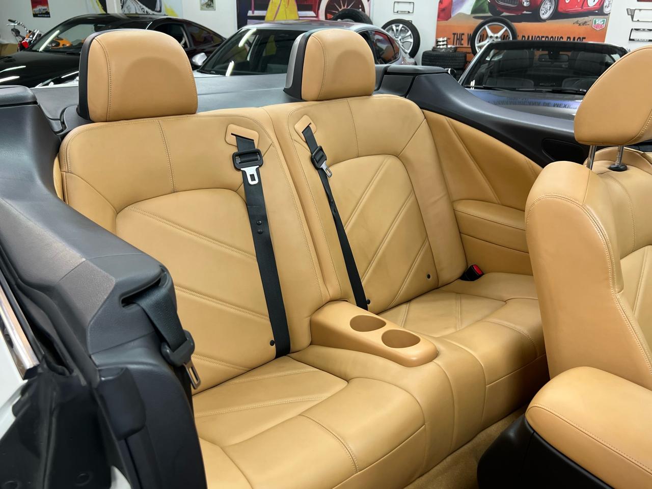 2014 Nissan Murano CrossCabriolet Photo