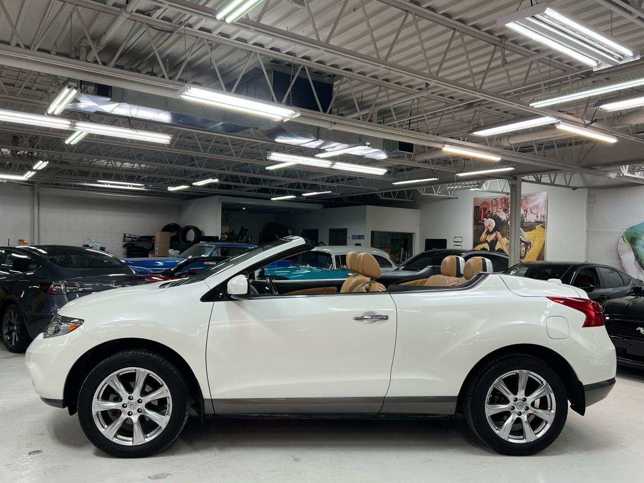 2014 Nissan Murano CrossCabriolet Photo