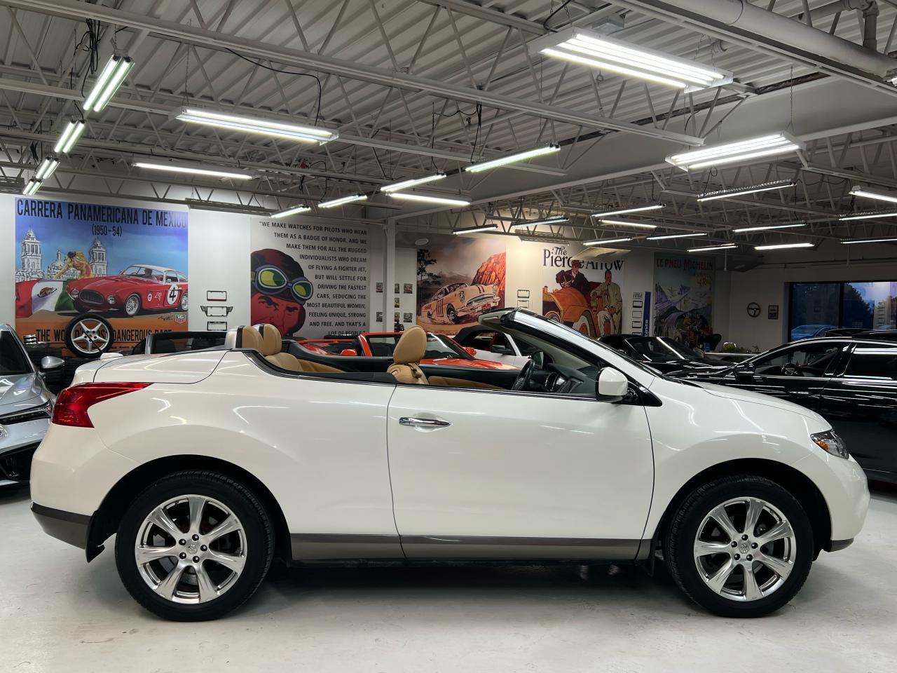 2014 Nissan Murano CrossCabriolet Photo