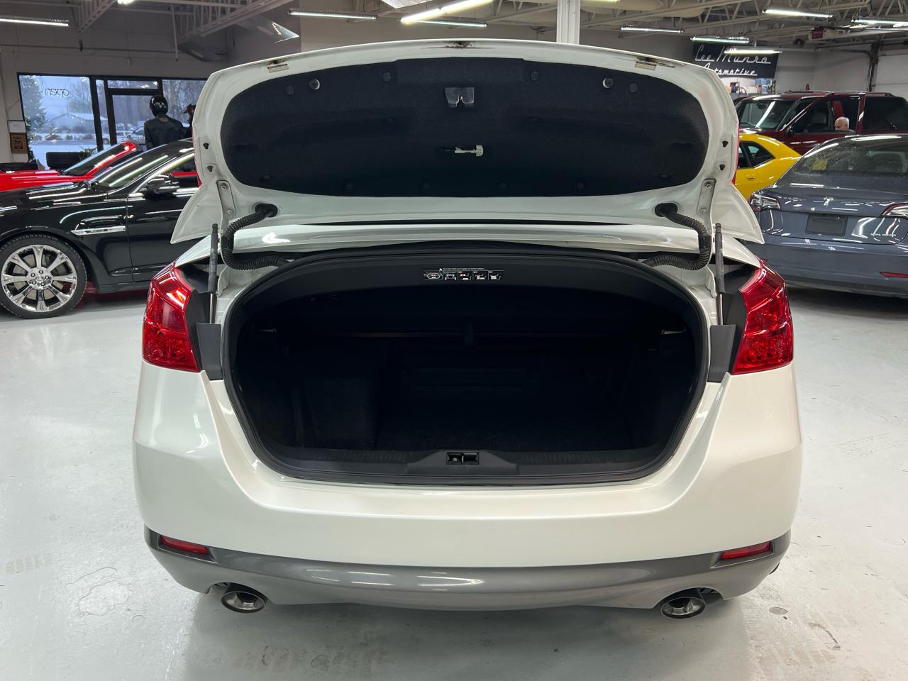 2014 Nissan Murano CrossCabriolet Photo