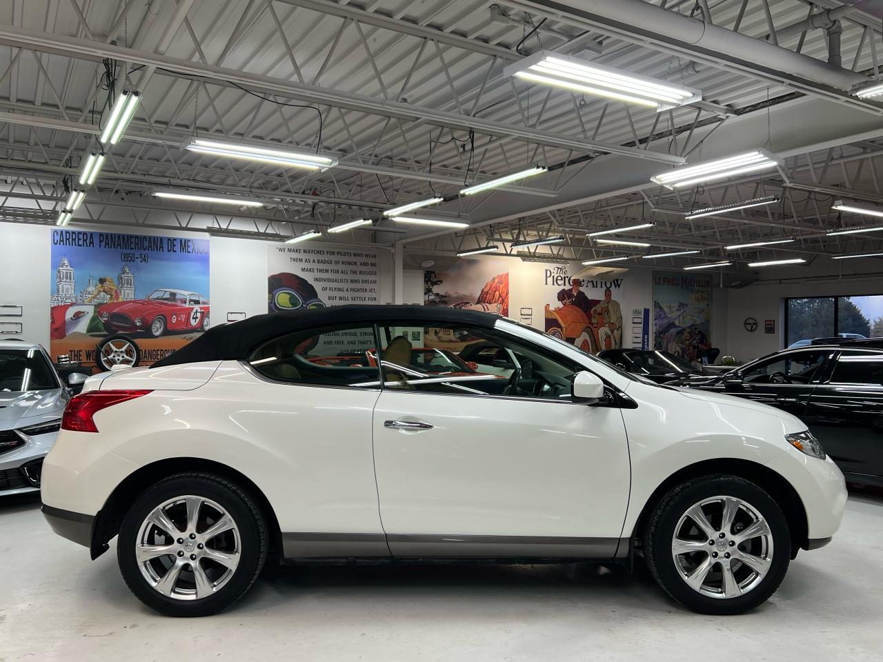 2014 Nissan Murano CrossCabriolet Photo