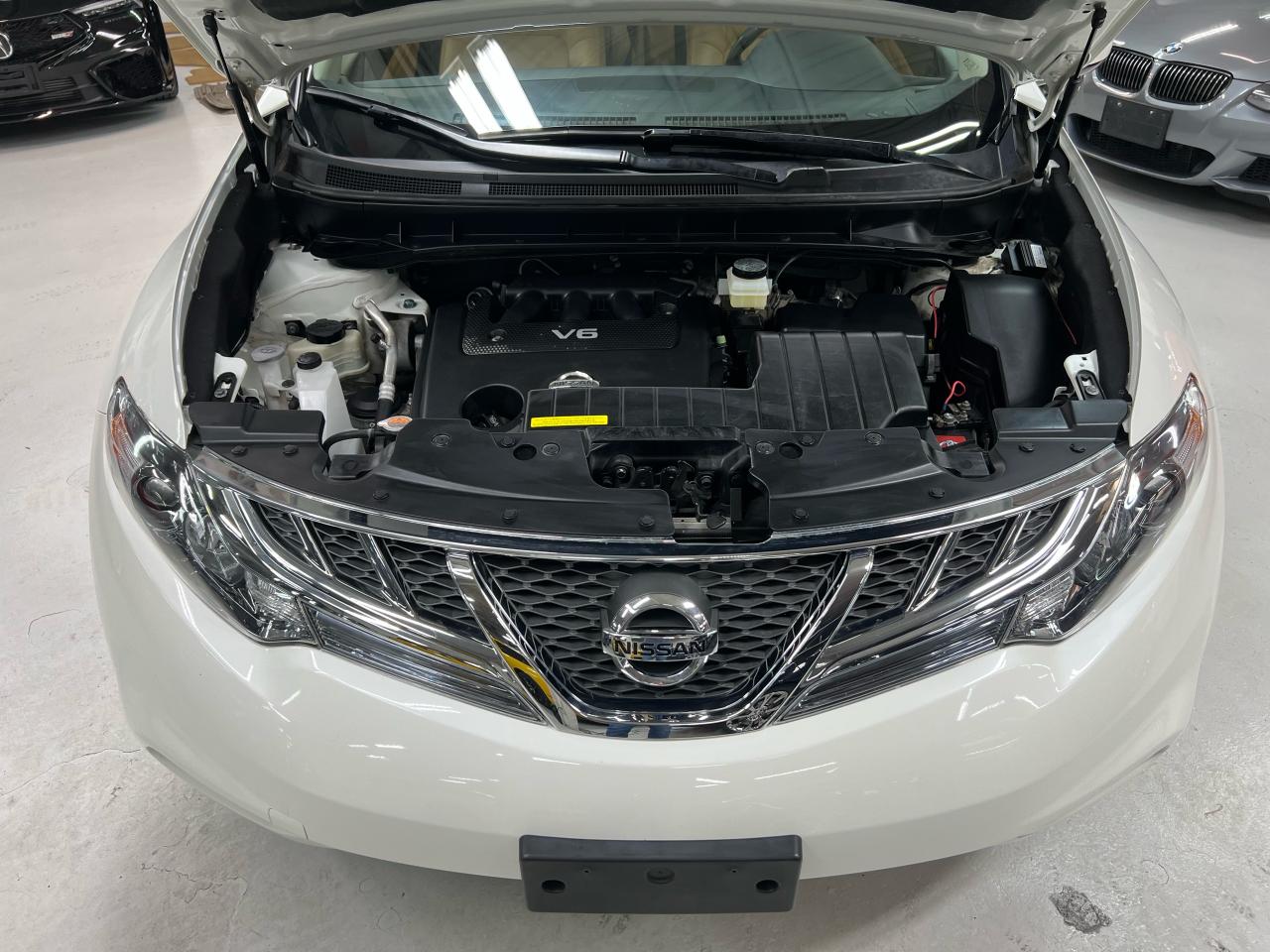 2014 Nissan Murano CrossCabriolet Photo