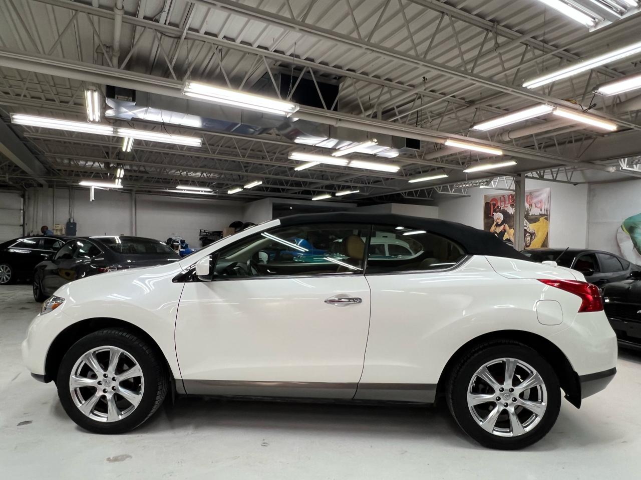 2014 Nissan Murano CrossCabriolet Photo