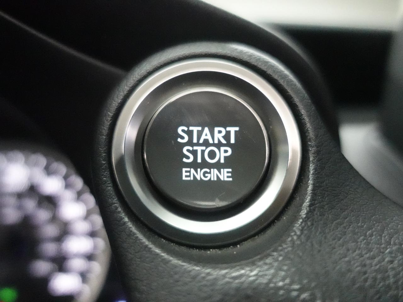 2021 Lexus IS 300 AWD | Leather | Sunroof | BlindSpot | CarPlay Photo