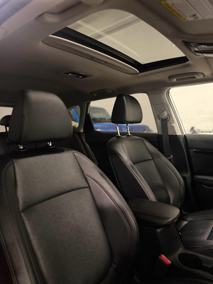 2025 Kia Seltos EX Photo