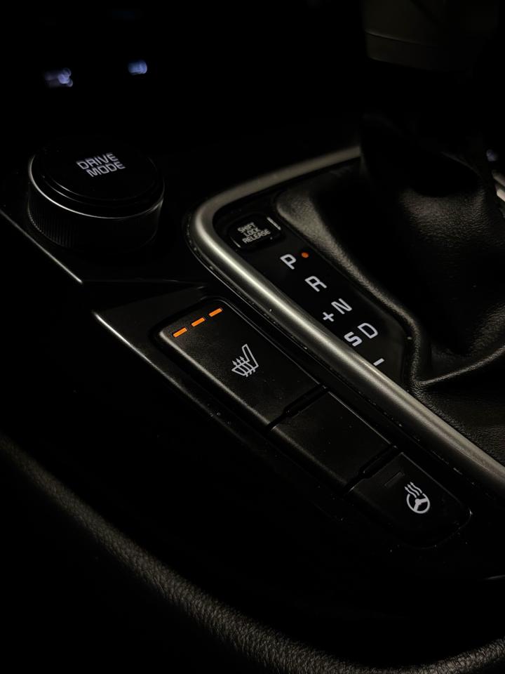 2025 Kia Seltos EX Photo