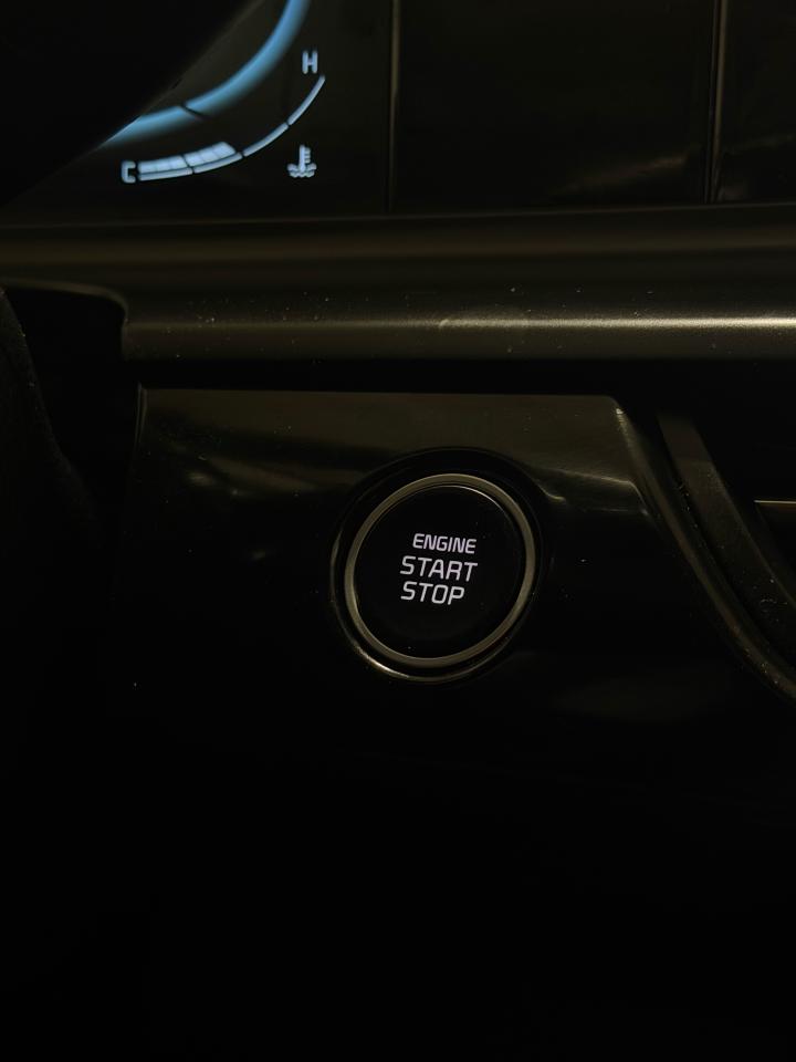 2025 Kia Seltos EX Photo