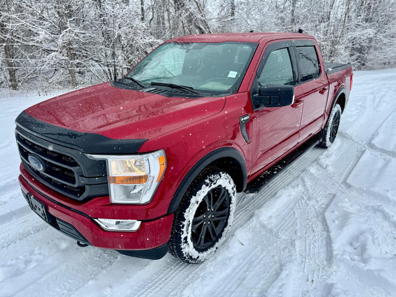 2021 Ford F-150 XLT FX4 4WD Crew One Owner | Low Kms | Clean Truck - Photo #10