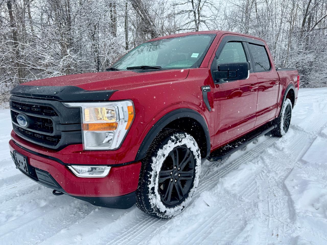 2021 Ford F-150 XLT FX4 4WD Crew One Owner | Low Kms | Clean Truck - Photo #11
