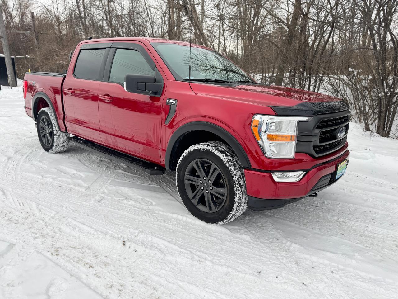 2021 Ford F-150 XLT FX4 4WD Crew One Owner | Low Kms | Clean Truck Photo