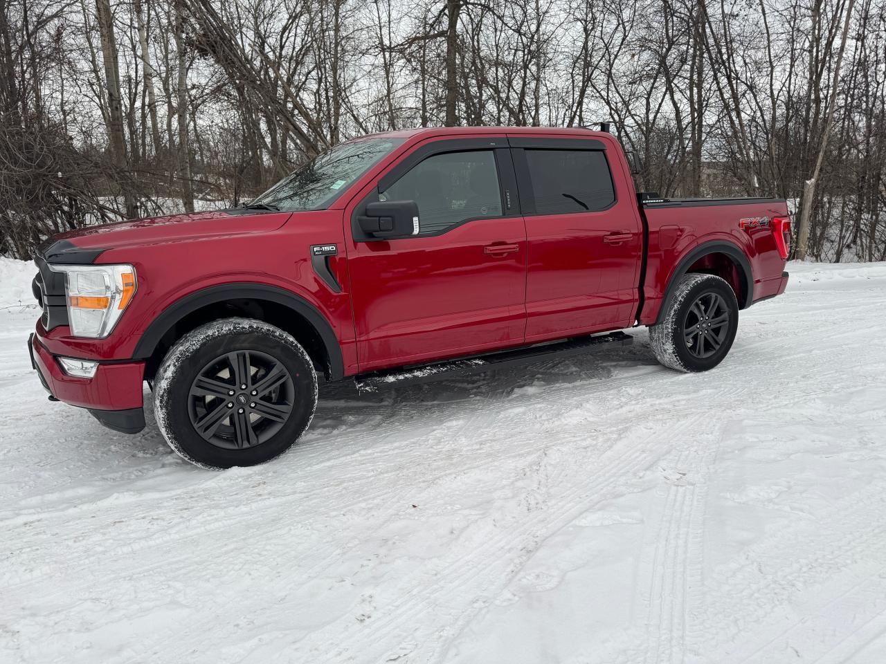 2021 Ford F-150 XLT FX4 4WD Crew One Owner | Low Kms | Clean Truck Photo