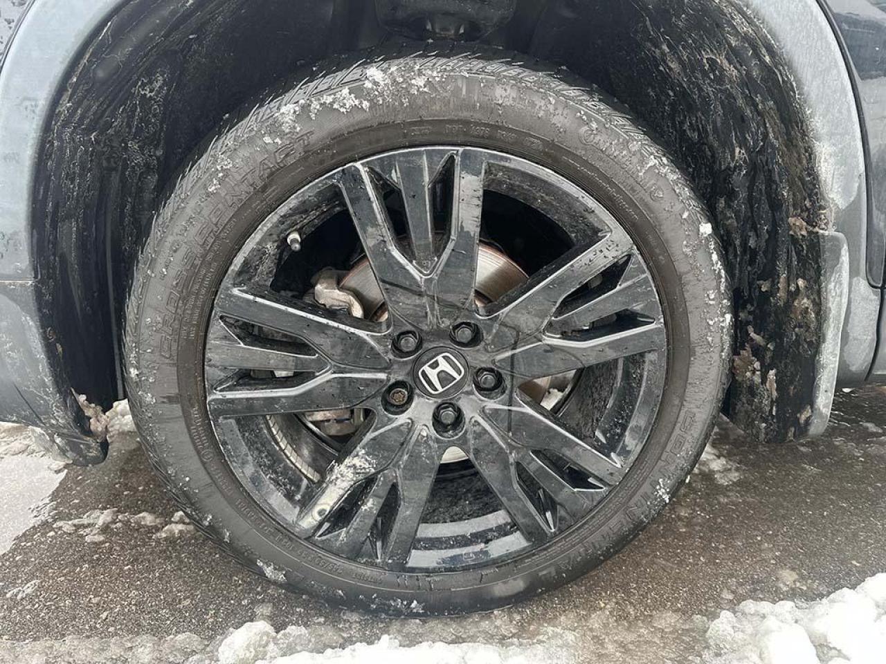 2021 Honda Passport SPORT Photo