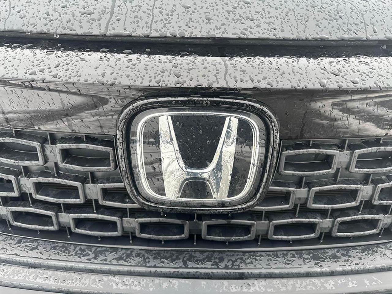 2021 Honda Passport SPORT Photo