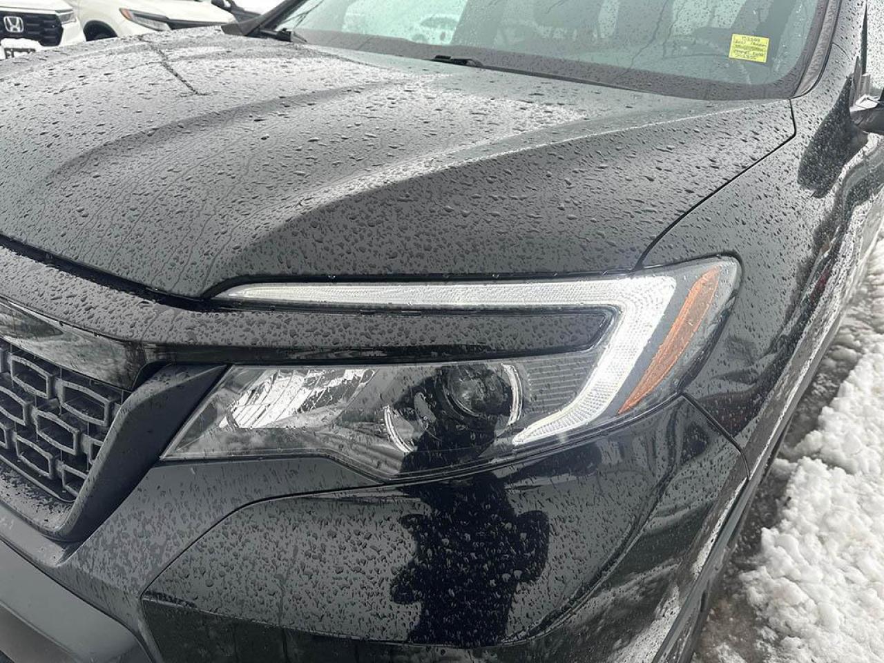 2021 Honda Passport SPORT Photo