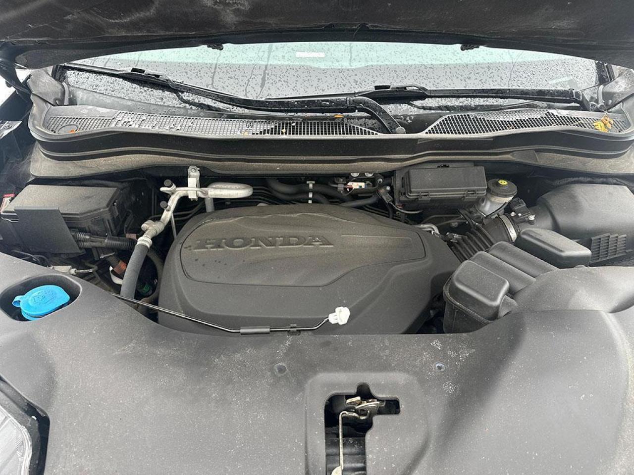 2021 Honda Passport SPORT Photo