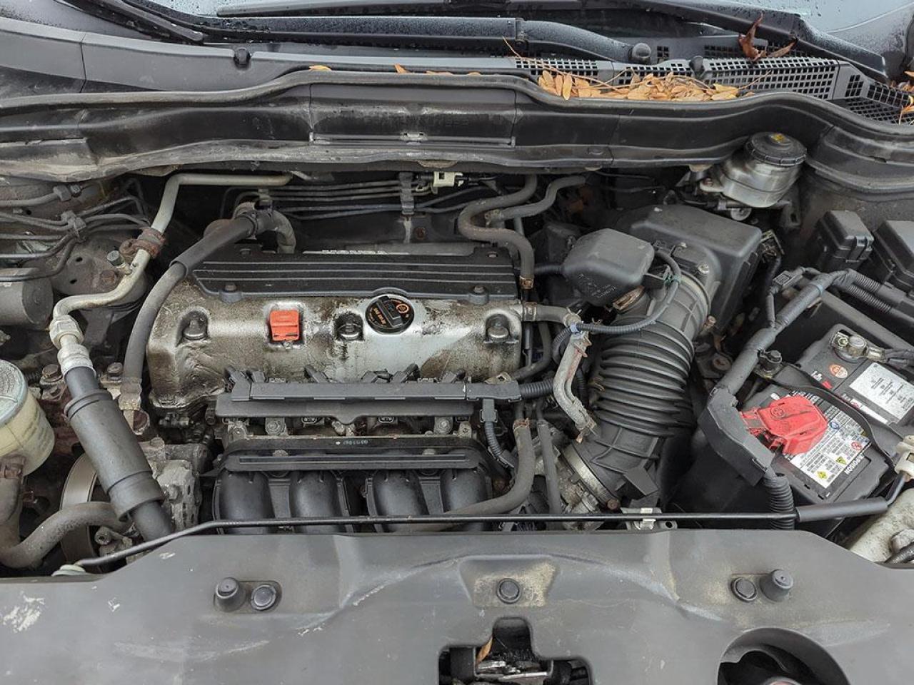 2010 Honda CR-V LX Photo