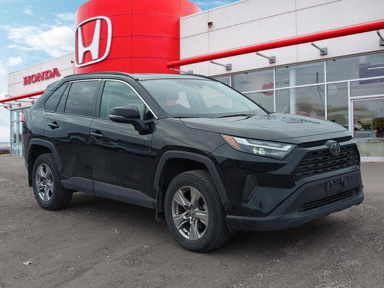 2023 Toyota RAV4 XLE Photo