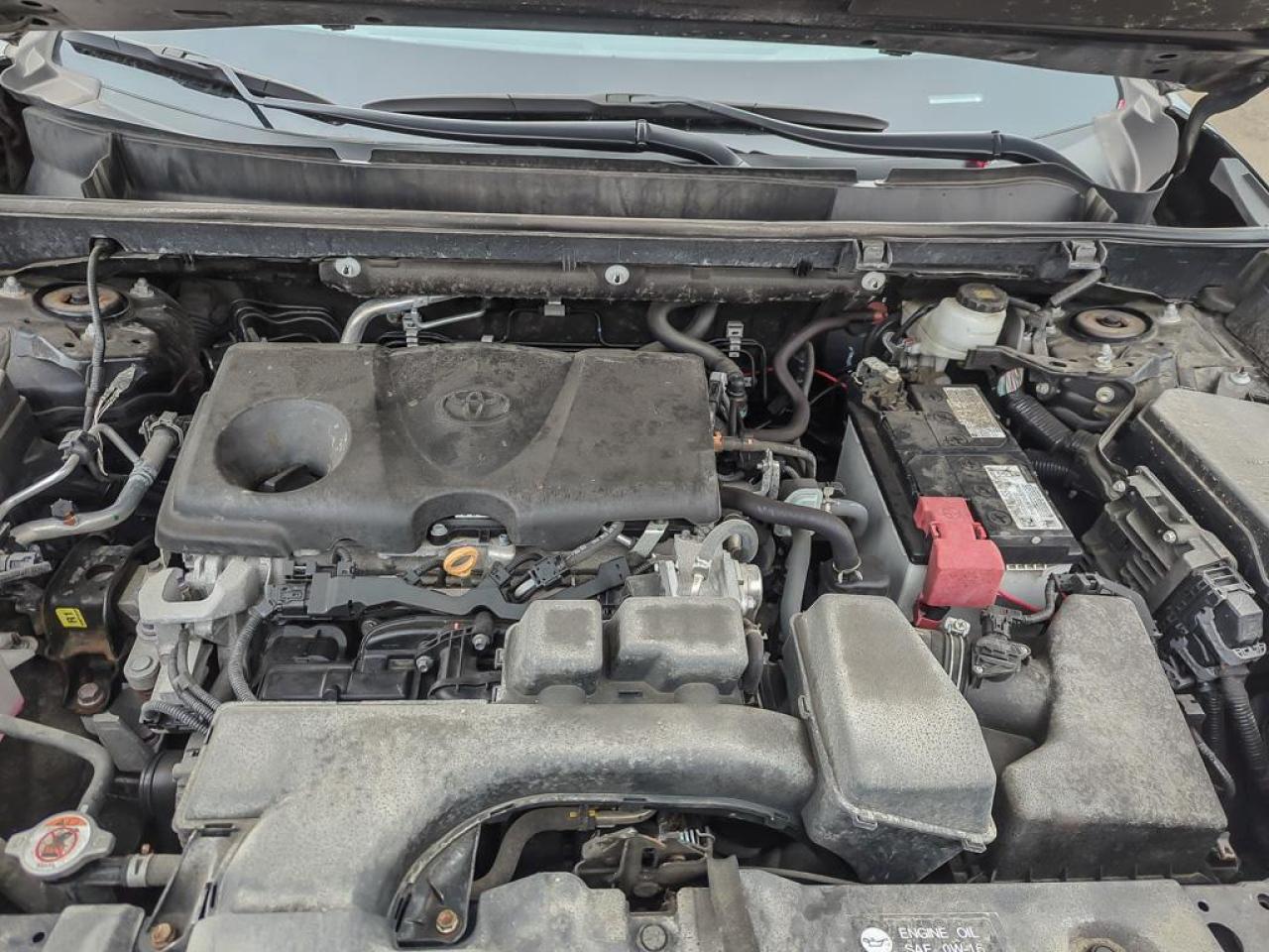 2023 Toyota RAV4 XLE Photo