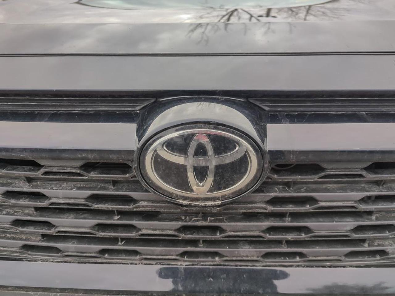 2023 Toyota RAV4 XLE Photo