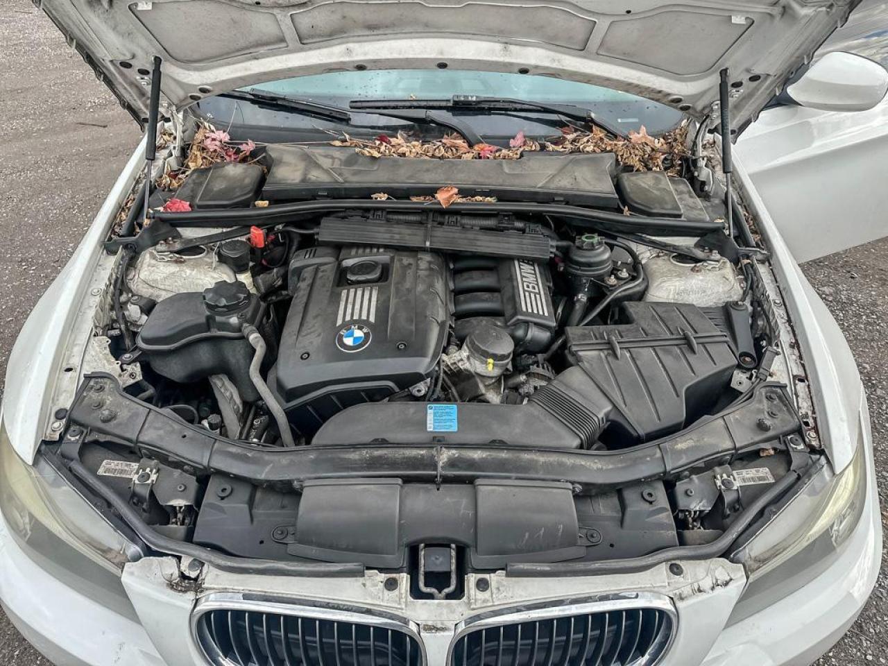 2011 BMW 3 Series 323i Photo