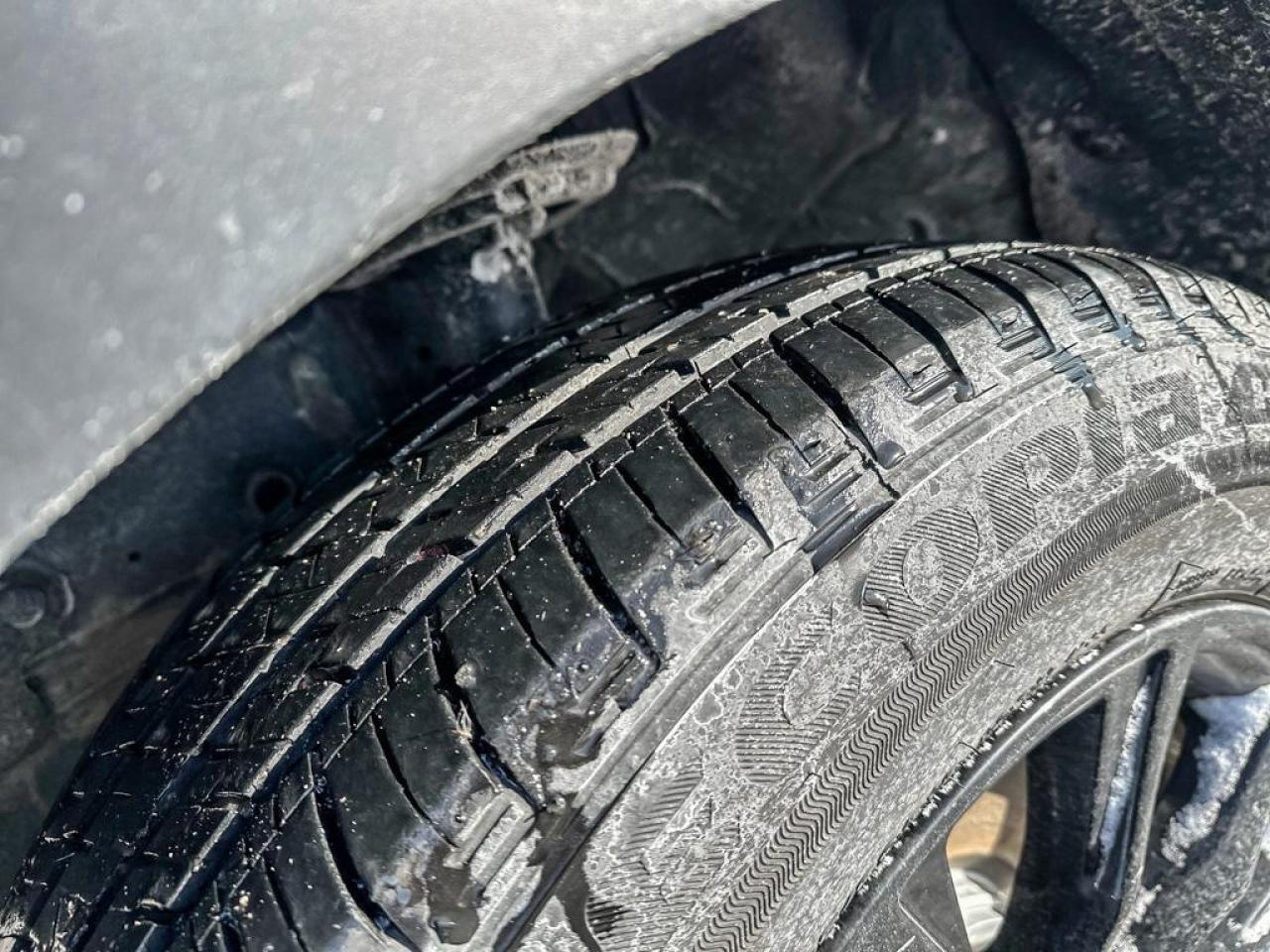 2025 Honda CR-V Hybrid EX-L Photo