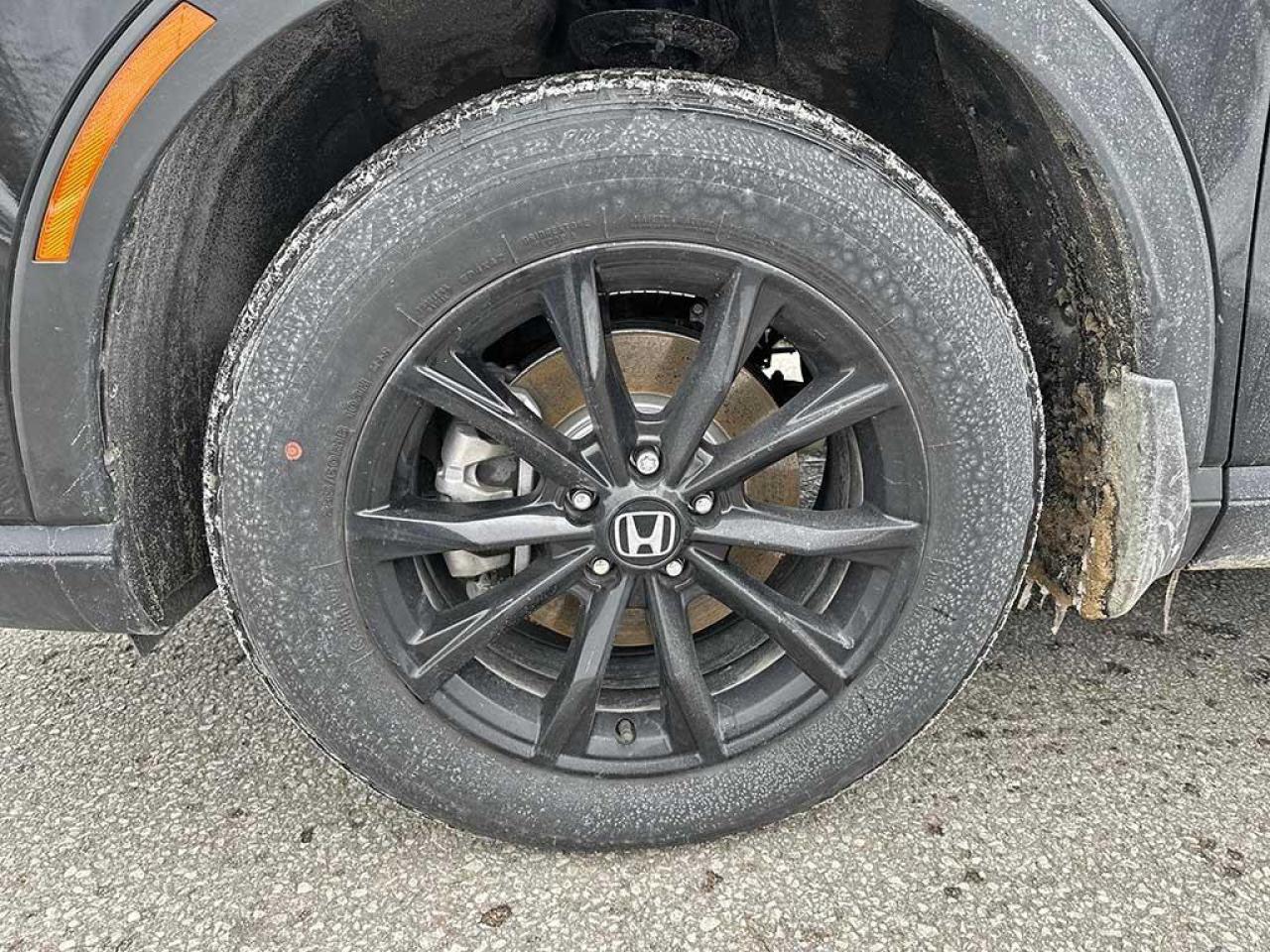 2025 Honda CR-V Hybrid EX-L Photo