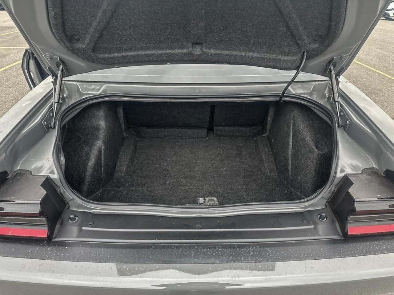 2023 Dodge Challenger R/T Photo