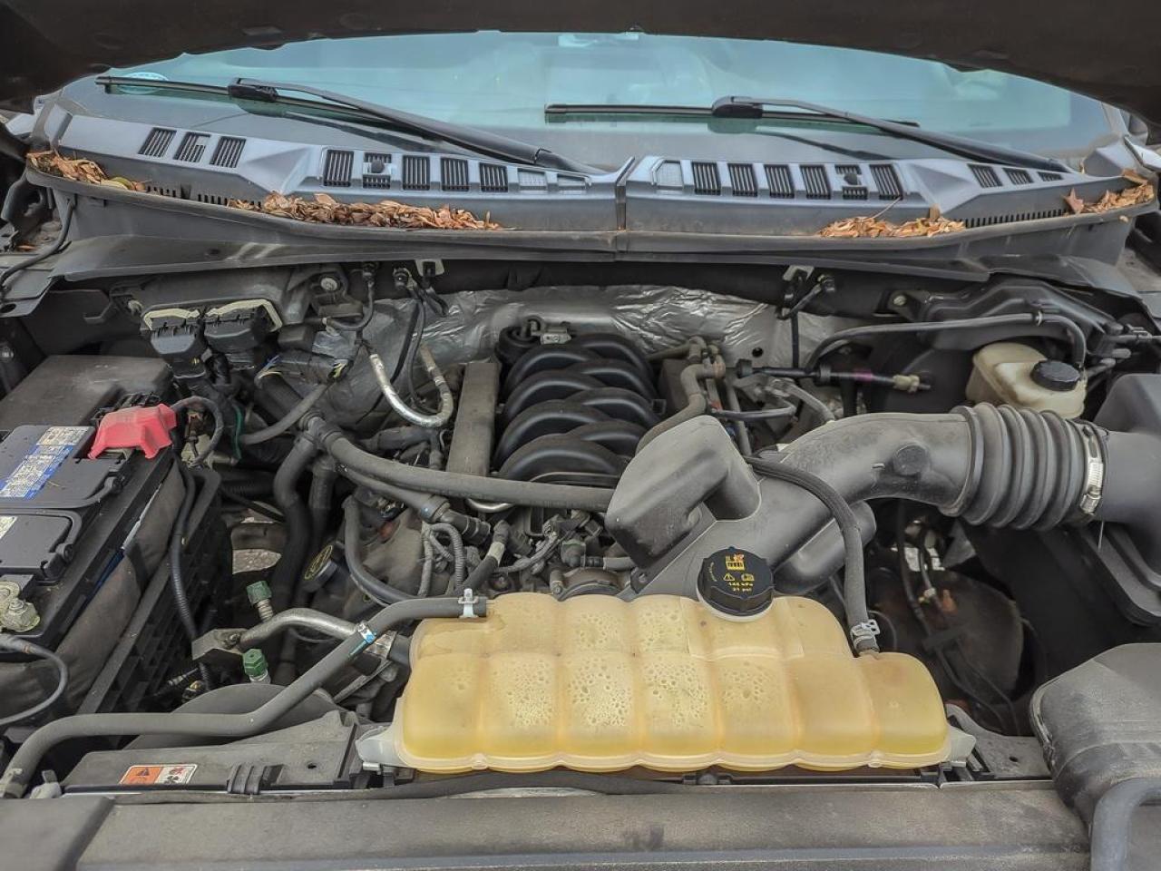 2017 Ford F-150 XLT Photo