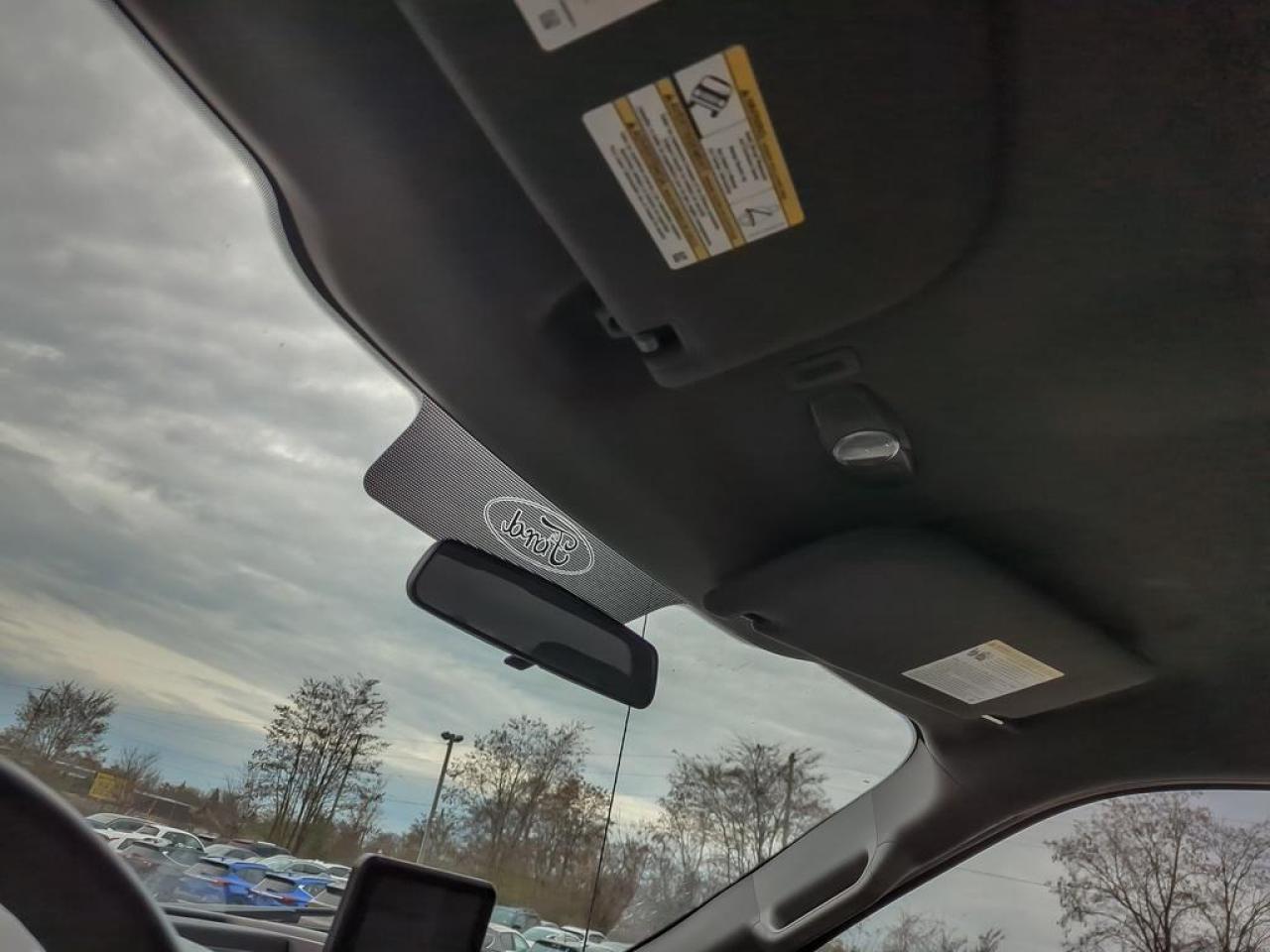 2017 Ford F-150 XLT Photo