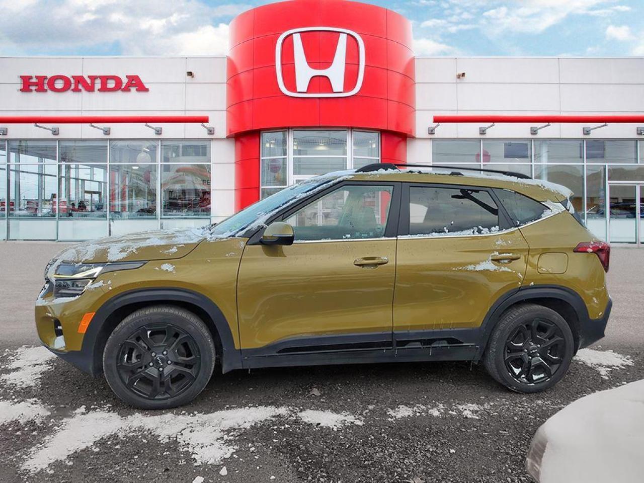 2024 Kia Seltos X-LINE Photo2