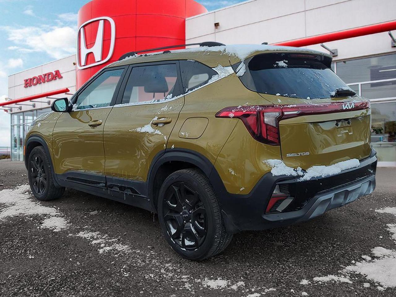 2024 Kia Seltos X-LINE Photo3