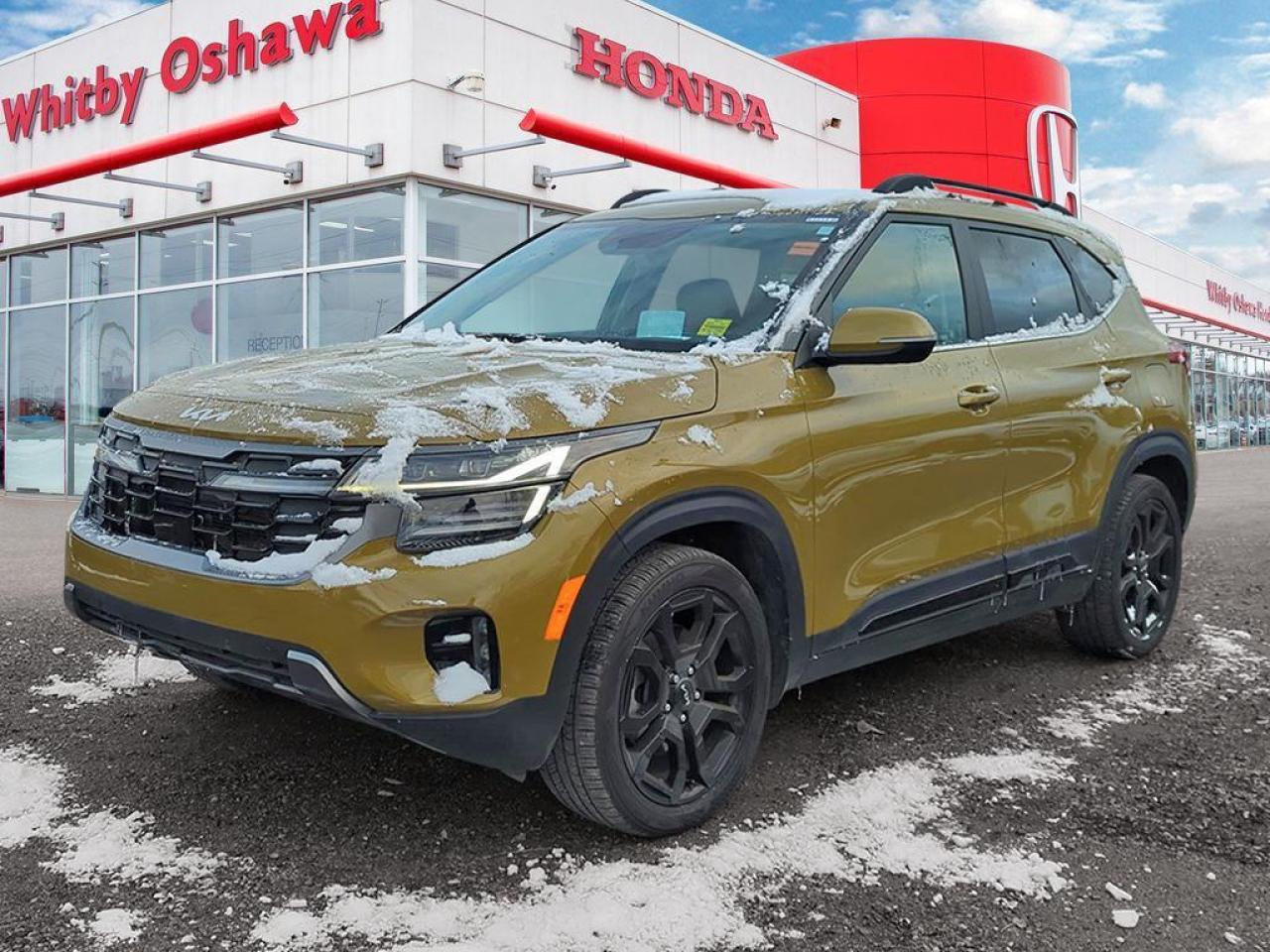 2024 Kia Seltos X-LINE Photo