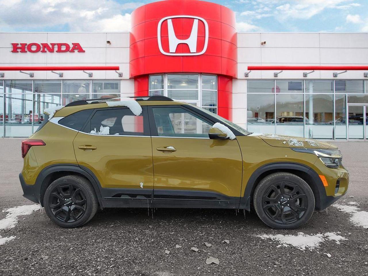 2024 Kia Seltos X-LINE Photo